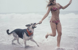 Illustration for article titled The Way We Were: Life Magazine Photos Of Women In The 1970s